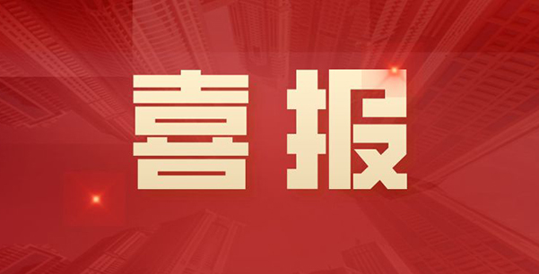 喜報(bào)！華日升公司榮獲各級(jí)表彰